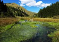 Mounigou Valley in Summer