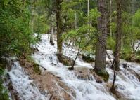 A Stream in Mounigou Valley