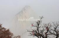 Mount Huashan