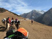 Mount Siguniang