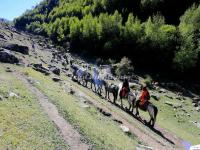 Horse Riding in Mount Siguniang