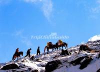 Mount Xuebaoding Riding 