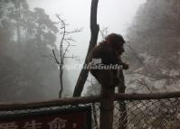 Mt. Emei Naughty Monkey