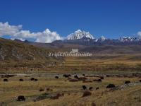 The Prairie in Mugetso Scenic Area