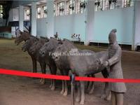 Museum of the Terracotta Army