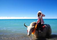 Make Photo at Namtso Lake Lhasa 