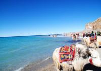 Namtso Lake Landscape Lhasa 