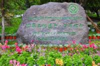 The World Heritage Norbulingka Lhasa 