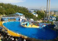 Ocean Park Dolphinarium Hong Kong 