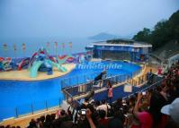 Performance at Hong Kong Ocean Park