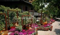 Six Harmonies Pagoda Beautiful Landscape Hangzhou