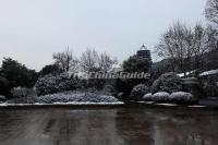 Six Harmonies Pagoda Winter Scenery Hangzhou