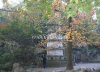 Peak Flying from Afar Attractive Landscape Hangzhou