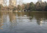 Chengdu People's Park Autumn Scenery