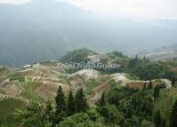 Marvelous Longji Rice Terrace Longsheng 