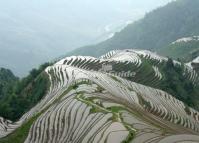 Longsheng Rice Terraces China