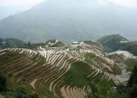 Longji Rice Terrace Guangxi China 