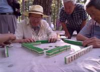 Old Men Playing Mahjong in Chengdu