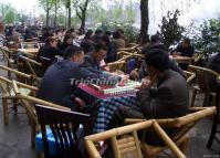 Mahjong in Chengdu Renmin Park 