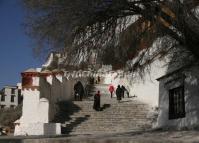 Potala Palace Steps