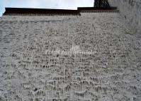 The Wall of Potala Palace