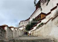 Potala Palace Ladder Lhasa 