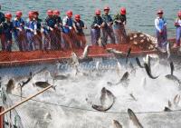 Qiandao Lake Fishing Scenery Hangzhou