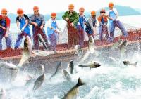 Fishing on Qiandao Lake 