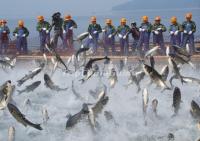 Fishing on Thousand-Island Lake Hangzhou