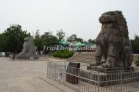 Qianling Mausoleum Stone Lions 