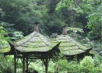 Qingcheng Mountain Attractive Pavilion Chengdu