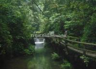 Qingcheng Mountain Beautiful Landscape Sichuan