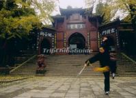 Qingcheng Mountain Martial Arts