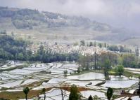 Rice Terrace at Qingkou Hani Ethnic Village