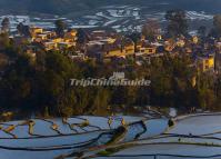 Qingkou Hani Ethnic Village and Rice Terrace