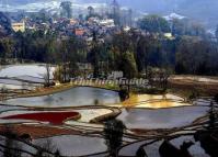 Qingkou Hani Ethnic Village and Rice Terraces