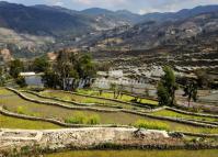 Qingkou Hani Ethnic Village Terraced Rice Fields