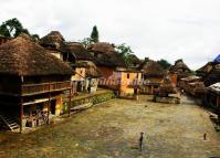 Mushroom Houses