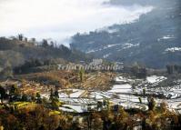 Qingkou Rice Terraces Yunan