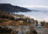 Sea of Clouds at Qingkou Rice Terraces