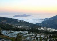 Qingkou Rice Terraces Picture