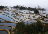 Blue Rice Terraces at Qingkou Hani Village