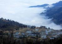 Qingkou Rice Terraces in the Mist