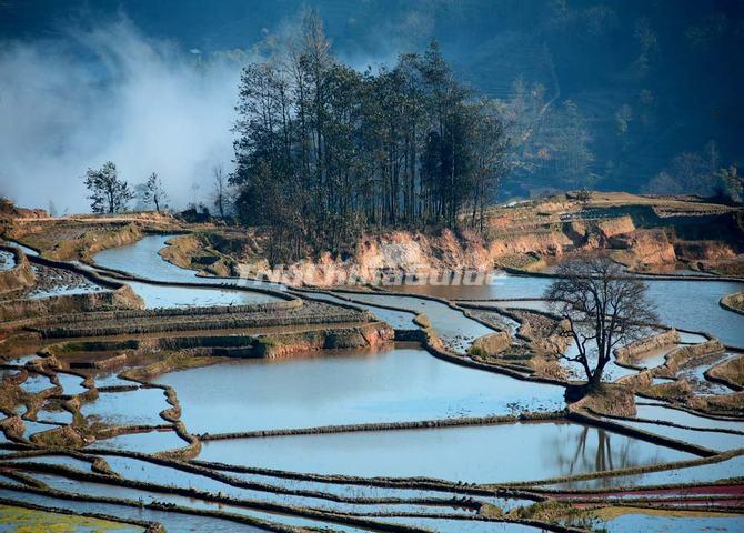 yuanyang qingkou rice terraces