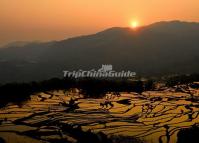 Sunrise Over Qingkou Hani Rice Terraces