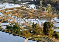 Qingkou Rice Terraces Yuanyang 