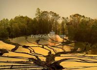 Yuanyang Qingkou Hani Rice Terraces 