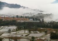 Rice Terraces around Qingkou Hani Ethnic Village