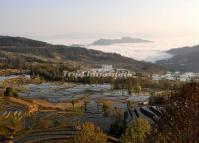 Qingkou Rice Terraces Scenery