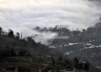 Qingkou Rice Terraces in Fog